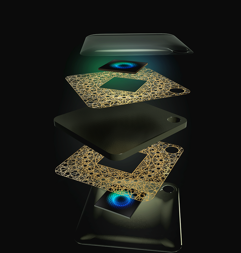 Lifetune Pet Technology